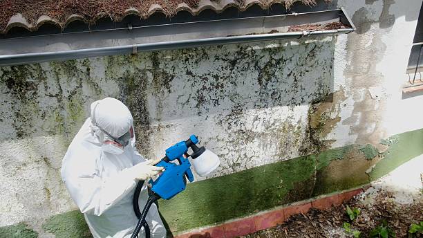 Mold Remediation service in Union City, Union City, GA